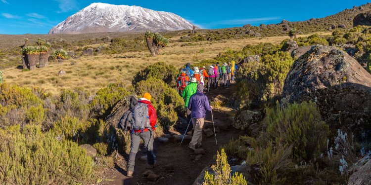 Kilimanjaro Climb and