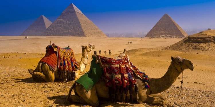 All tours Egypt