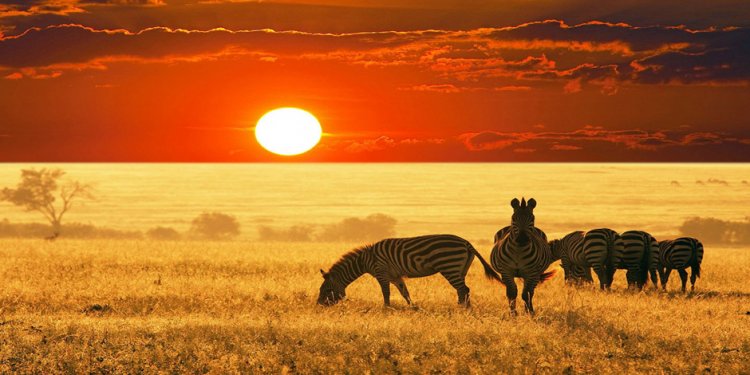 Africa Travel Deals*