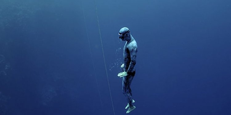 Learning to Freedive