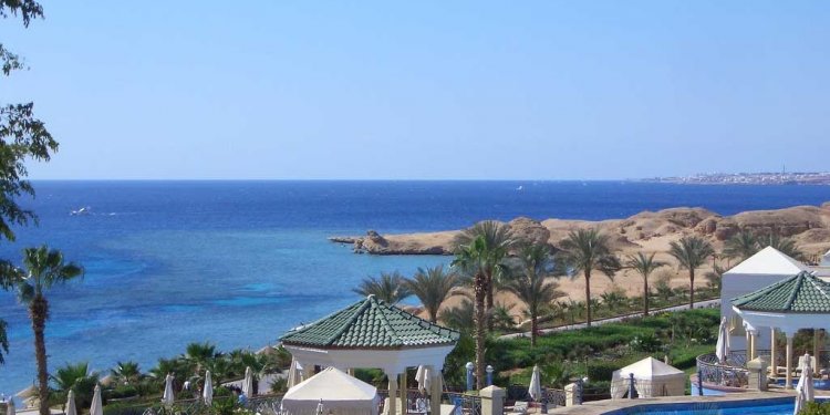 Phoebettmh Travel: (Egypt)