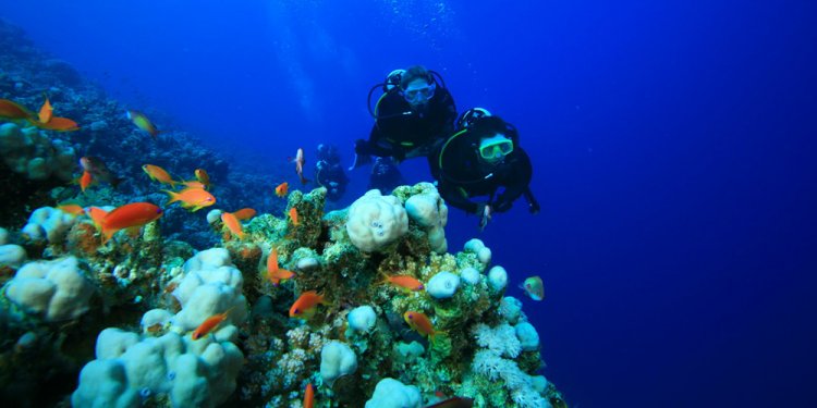 Scuba-dive-Hurghada-egypt