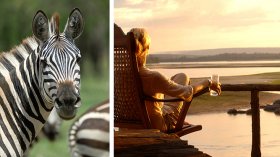 most useful African Safari Tours - Mara, Serengeti & Selous Safari