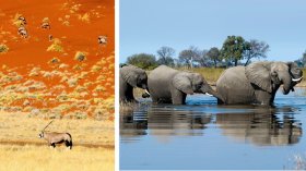 most useful African Safari Tours: Our Top 10 Picks
