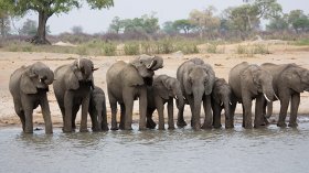 most useful African Safari Tours - exclusive led Botswana & Zimbabwe