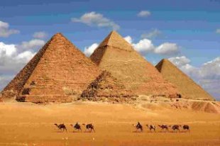 Camels walk-in desert ahead of the magnificent Pyramids of Giza, Cairo