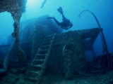 Diver regarding the Thistlegorm