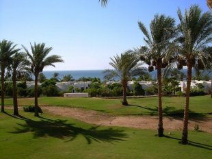 Domina Coral Bay resort hotel sharm el sheikh