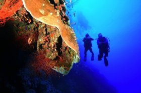 Egypt All Inclusive Diving vacations