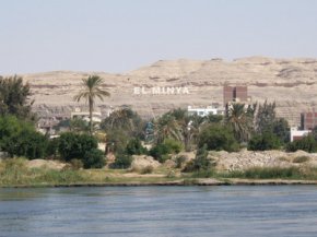 Elminia