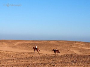 Hurghada Horse riding