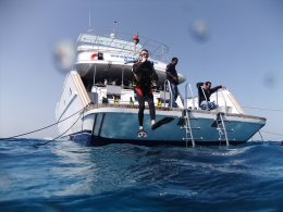 Hurghada Liveaboard diving