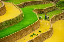 Mu Cang Chai in Yen Bai Vietnam - blog site