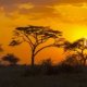 Africa Tours from USA
