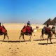 Last minute flights to Egypt