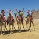 Packages, Tours to Egypt