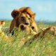 South Africa Trips Packages