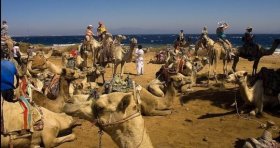 Riding a camel in Egypt