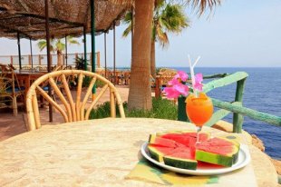 Sharm el Sheikh bar by the ocean