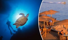 Sharm el Sheikh reopens but site visitors warned