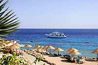 Sharm El Sheikh Travel Guide