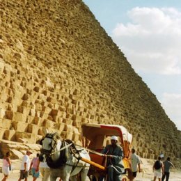 The pyramids draw tourists from around the entire world.