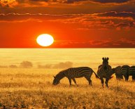 Africa travel deals