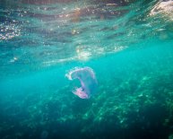 Blue Hole of Dahab