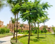 Egypt Travel Warnings