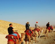 Packages Tours Egypt