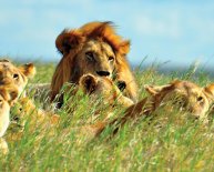 South Africa Trips Packages