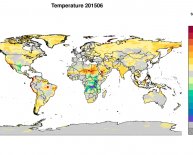 Temperature Egypt June