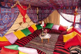 see a Bedouin campsite on a camel trip